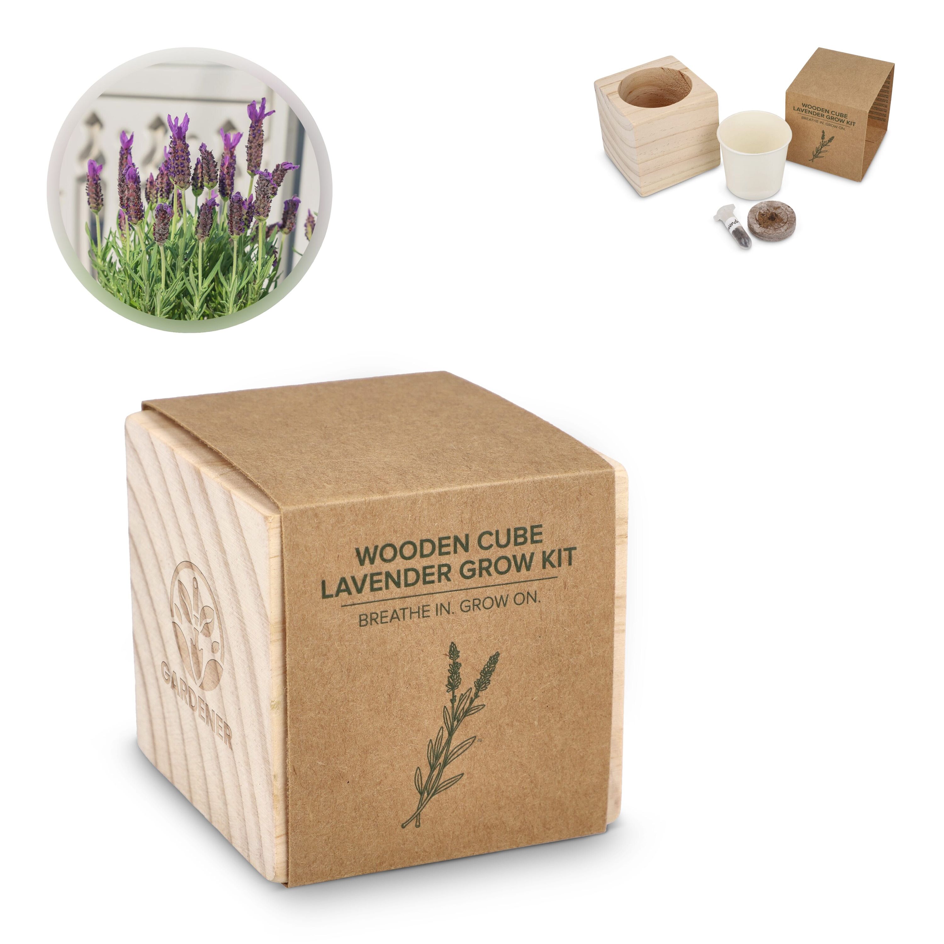 FSC-Holzpflanzgefäß-Set – Lavendel - natur-182