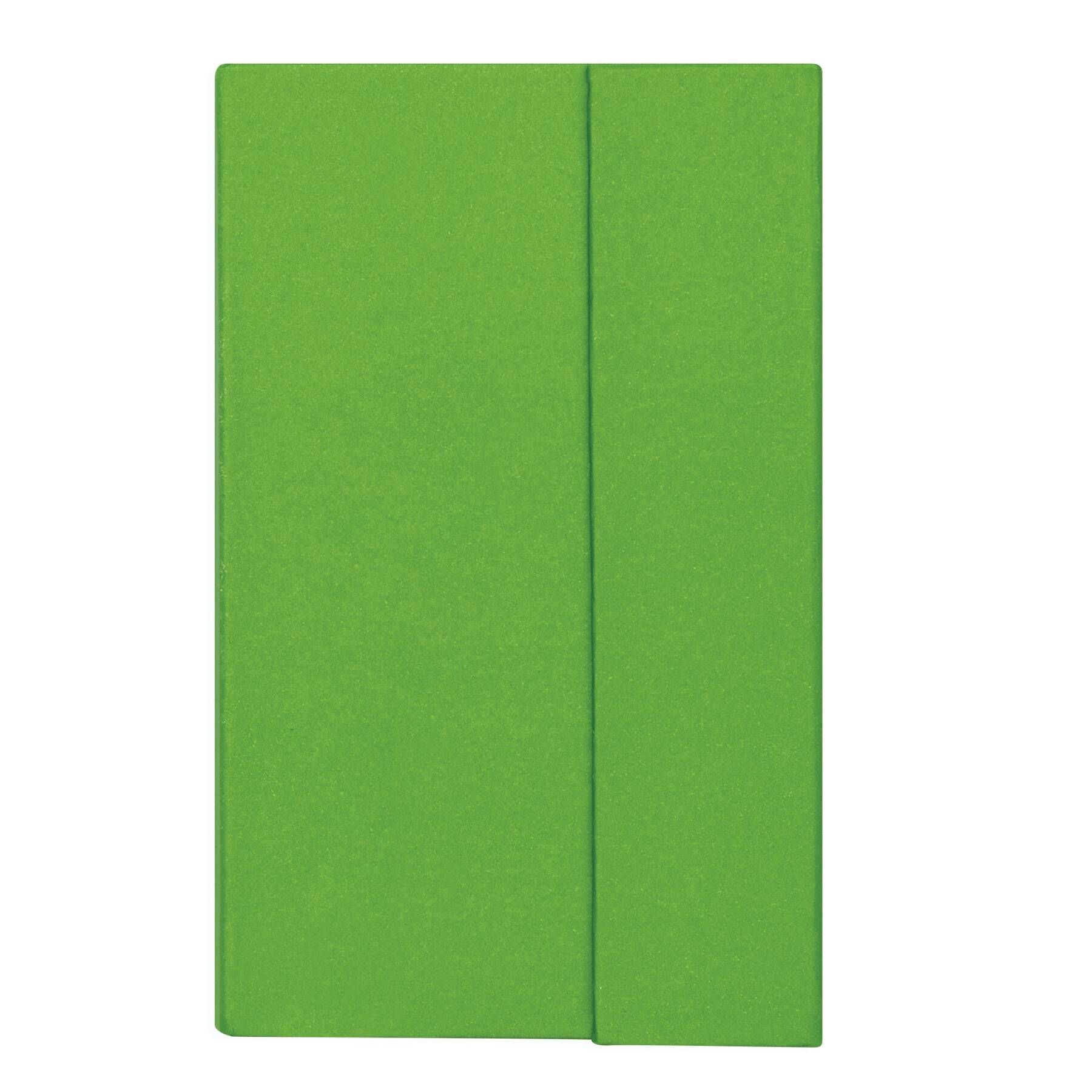 Notizbuch LITTLE NOTES - apfelgrün-370