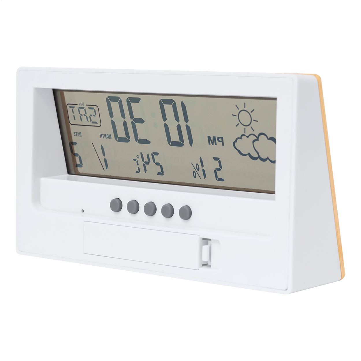 Wetterstation Roamer - natur-923