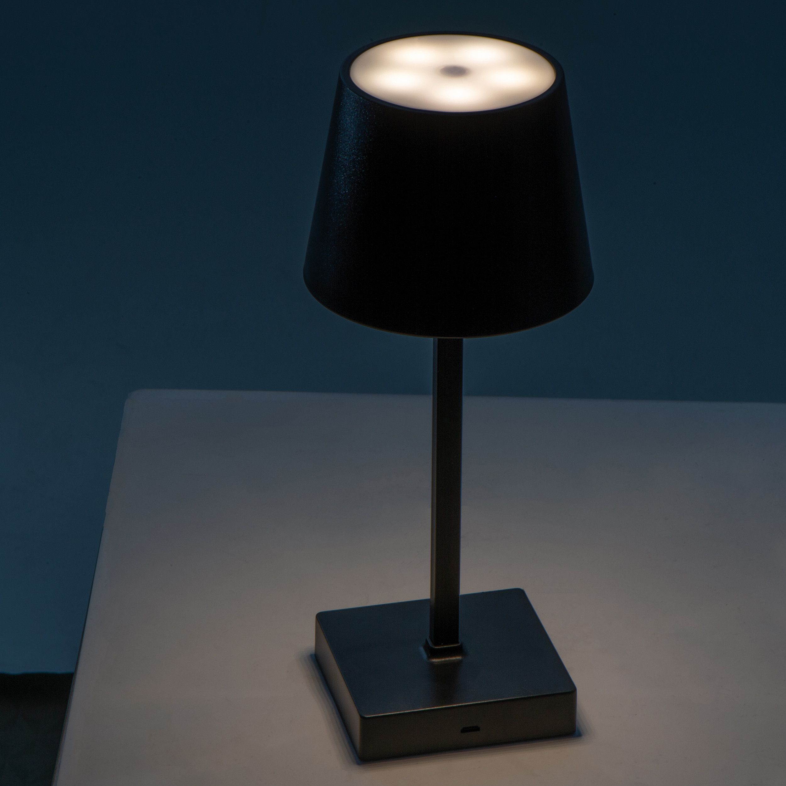 Tischlampe Montes Claros - schwarz-911