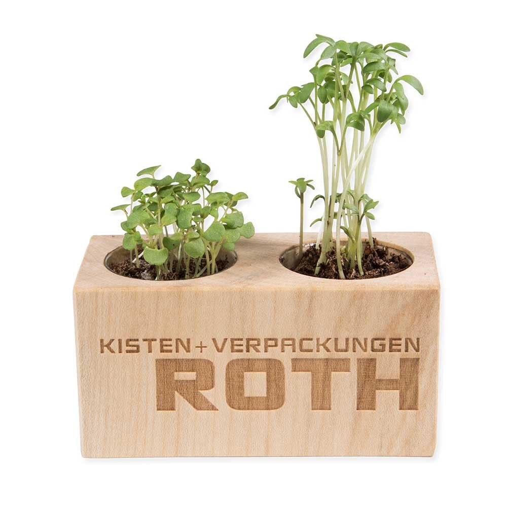 Pflanz-Holz 2er Set mit Samen - Sommerblumenmischung-422