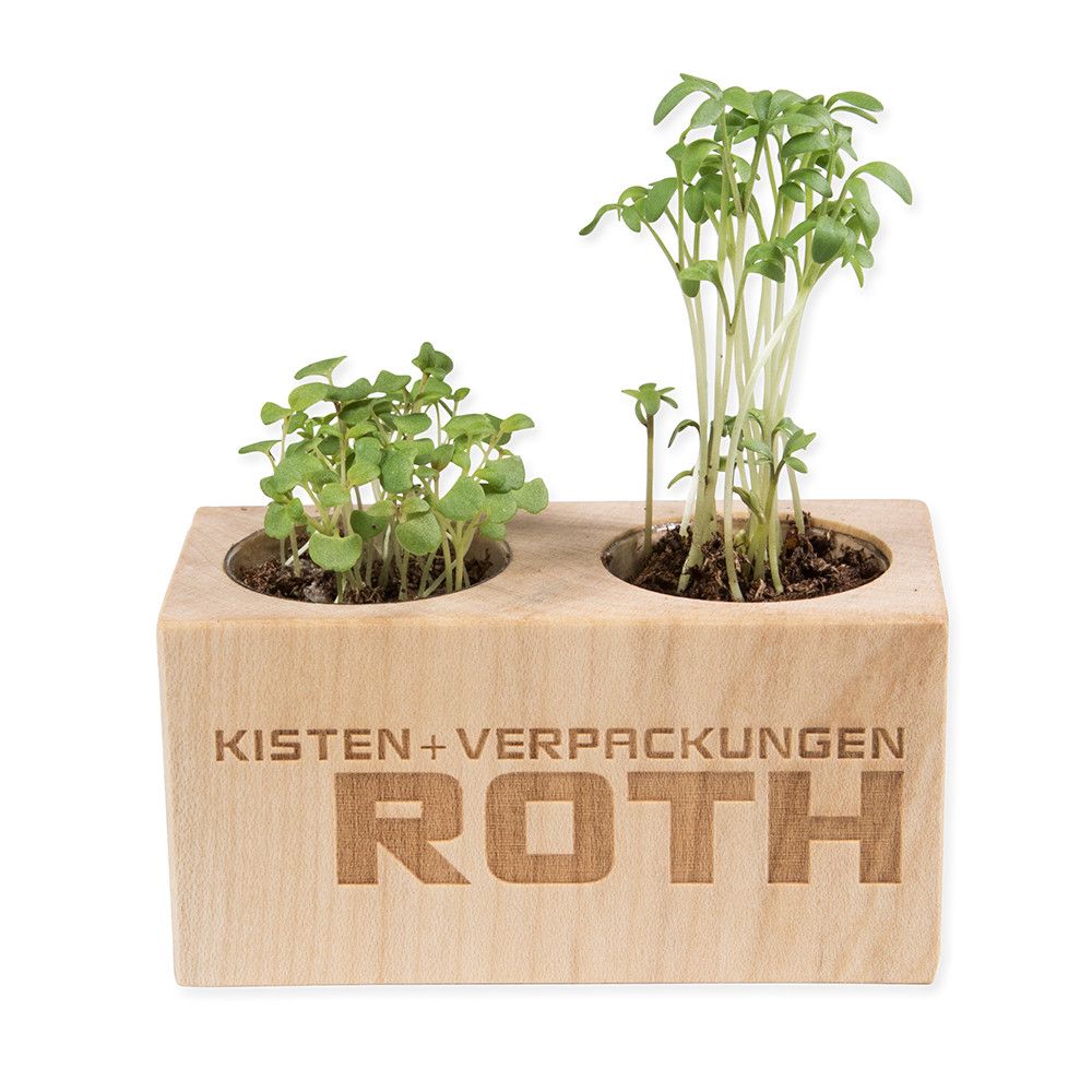 Pflanz-Holz 2er Set mit Samen - Sommerblumenmischung-422
