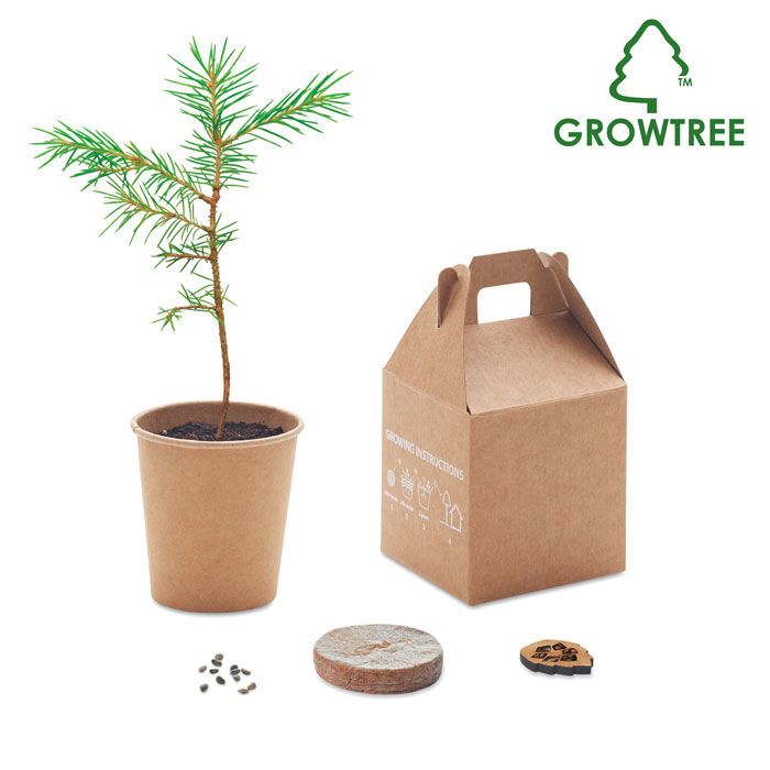 Kiefernsamen-Set GROWTREE™ - beige-338