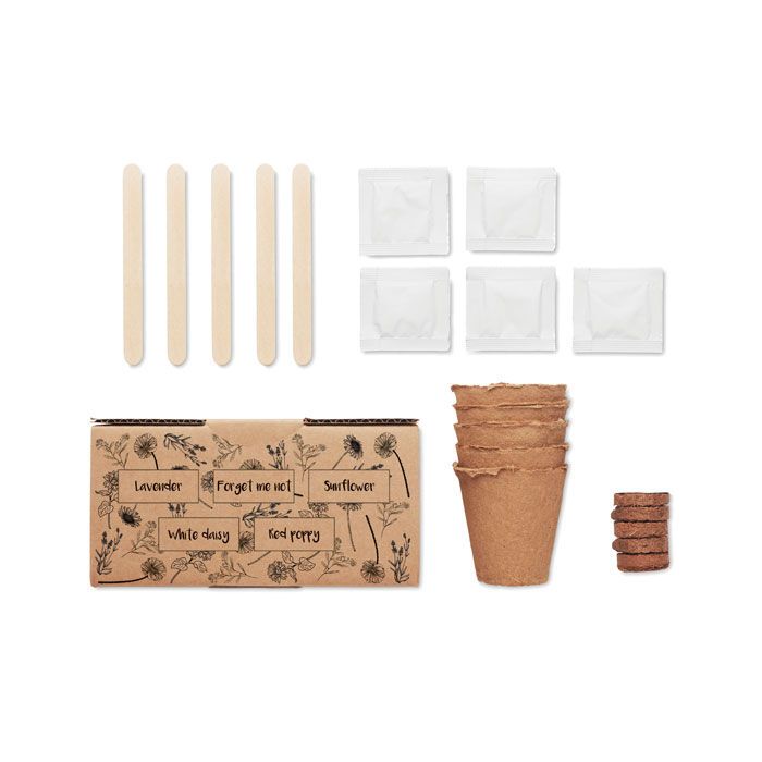Saat-Set Sommerblumen FLOWERS - beige-285