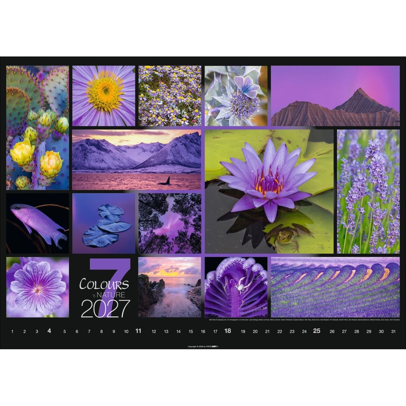Colours of Nature - Landschaft & Natur Kalender-48