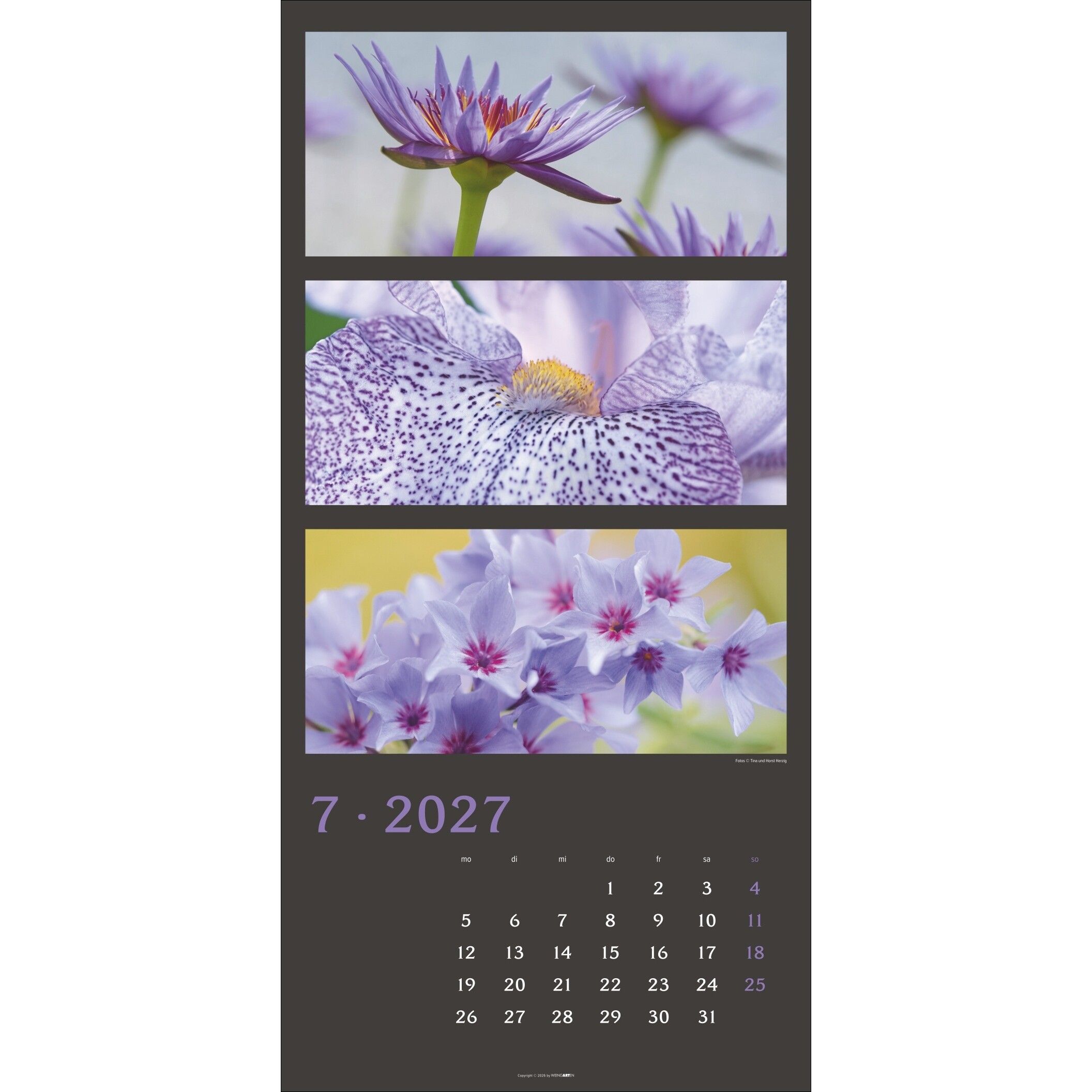 Die Farben der Natur - Landschaft & Natur Kalender-258