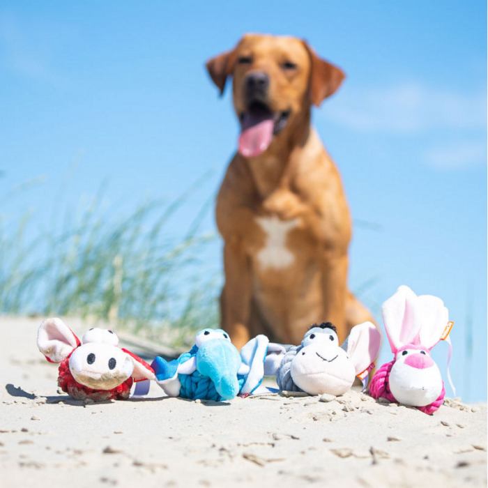 Vier verschiedene kleine Tierchen liegen im Sand. Die Kuscheltiere sind ein robustes Spielzeug für Hunde.