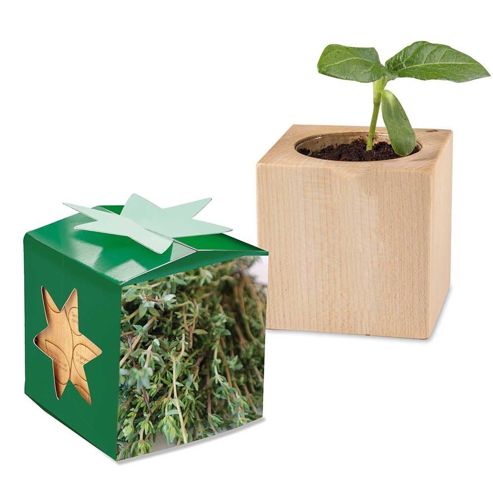 Pflanz-Holz Star-Box mit Samen - Thymian, 2 Seiten gelasert-709