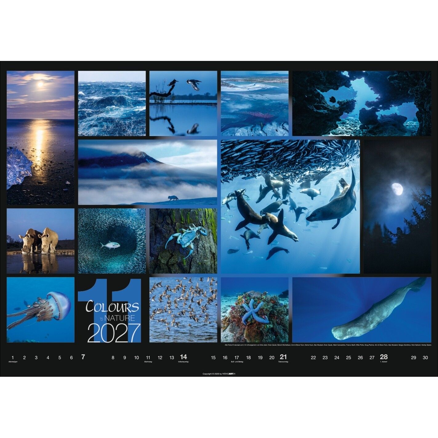 Colours of Nature - Landschaft & Natur Kalender-697