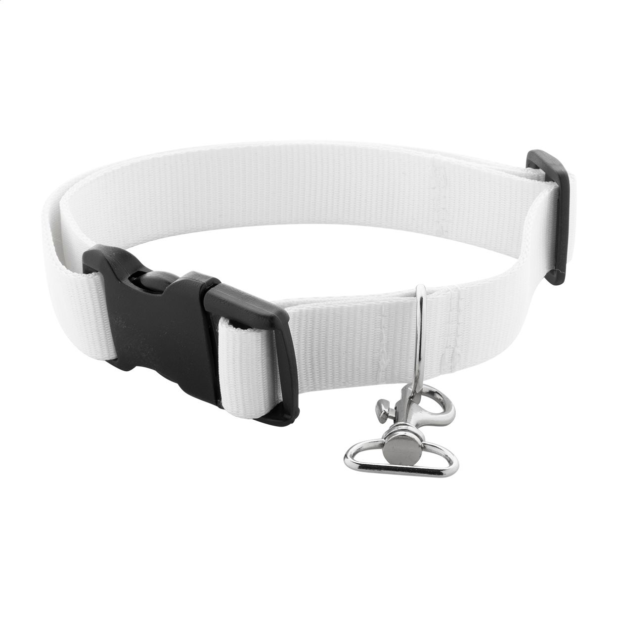 Ziggy Individuelles Hundehalsband - weiß-542