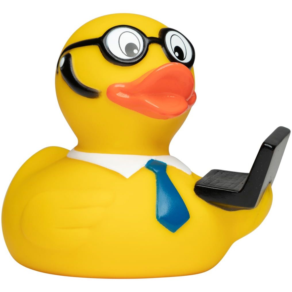 Quietsche-Ente Laptop - bunt-284