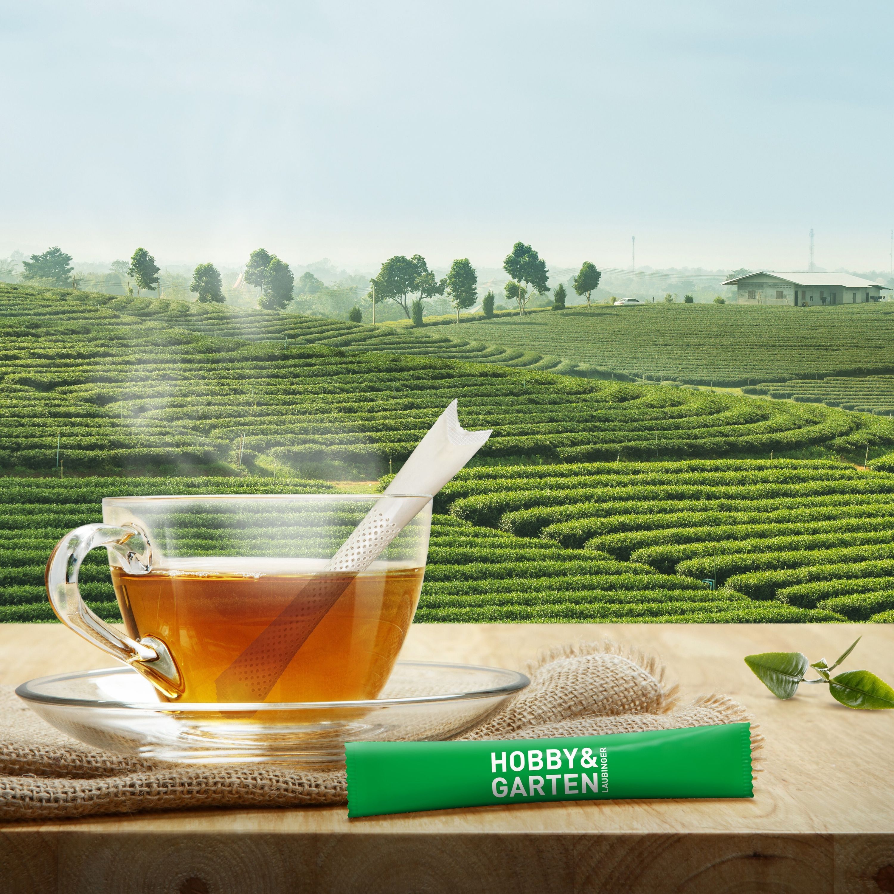 TeaFlyer ClapCard mit TeaStick-434
