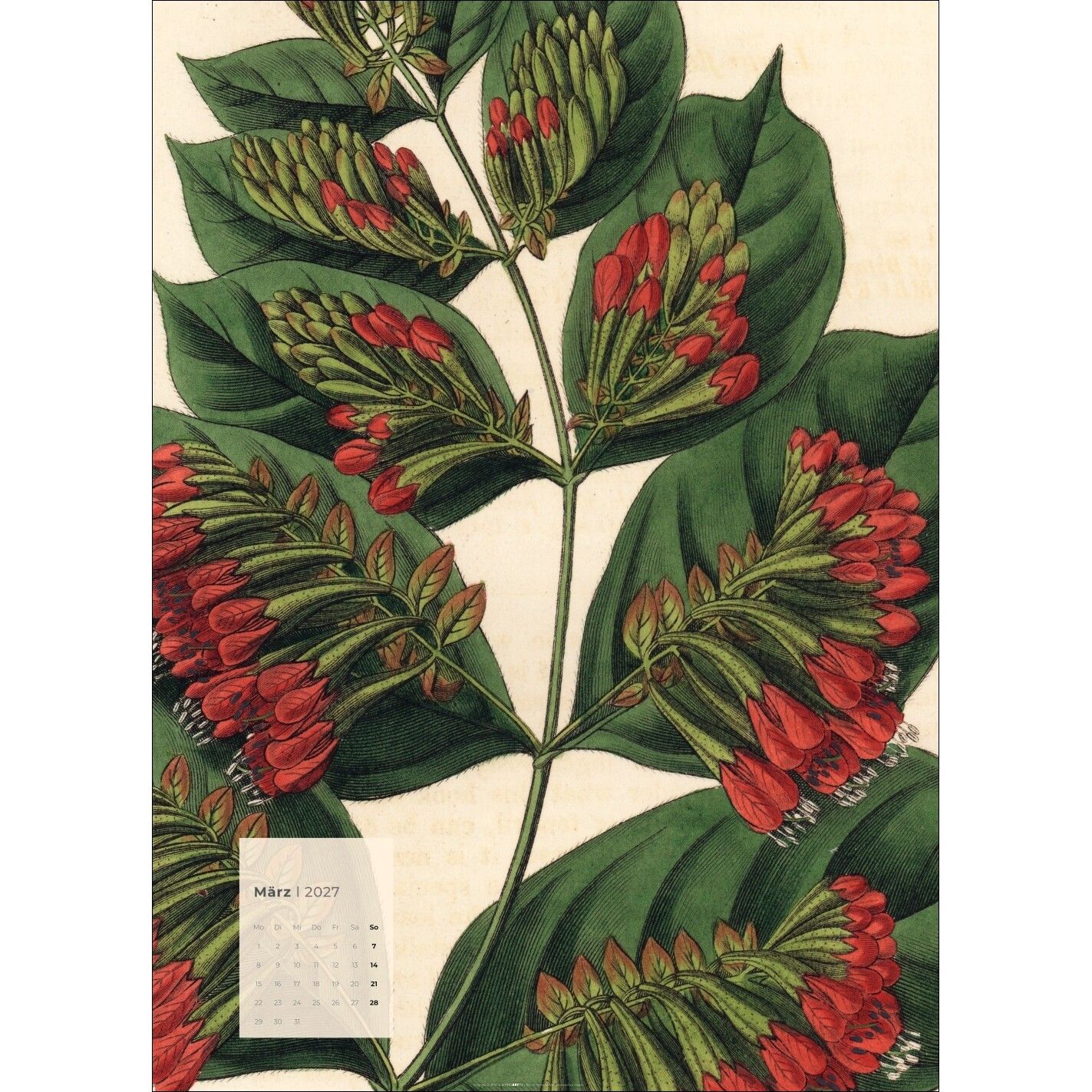 Botanicals - Kunst & Kultur Kalender-807