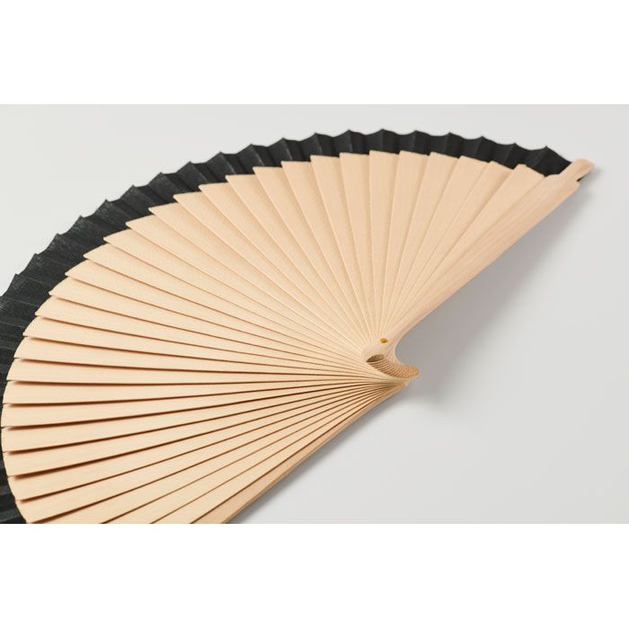 Fächer WOODFAN - schwarz-815