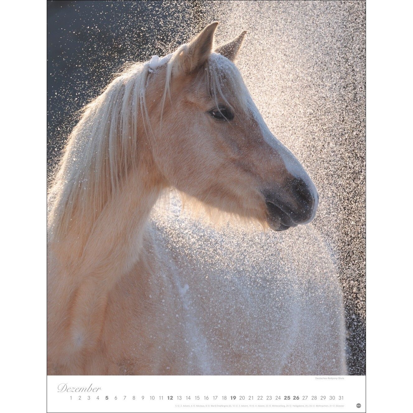 Pferde Classics Posterkalender-486