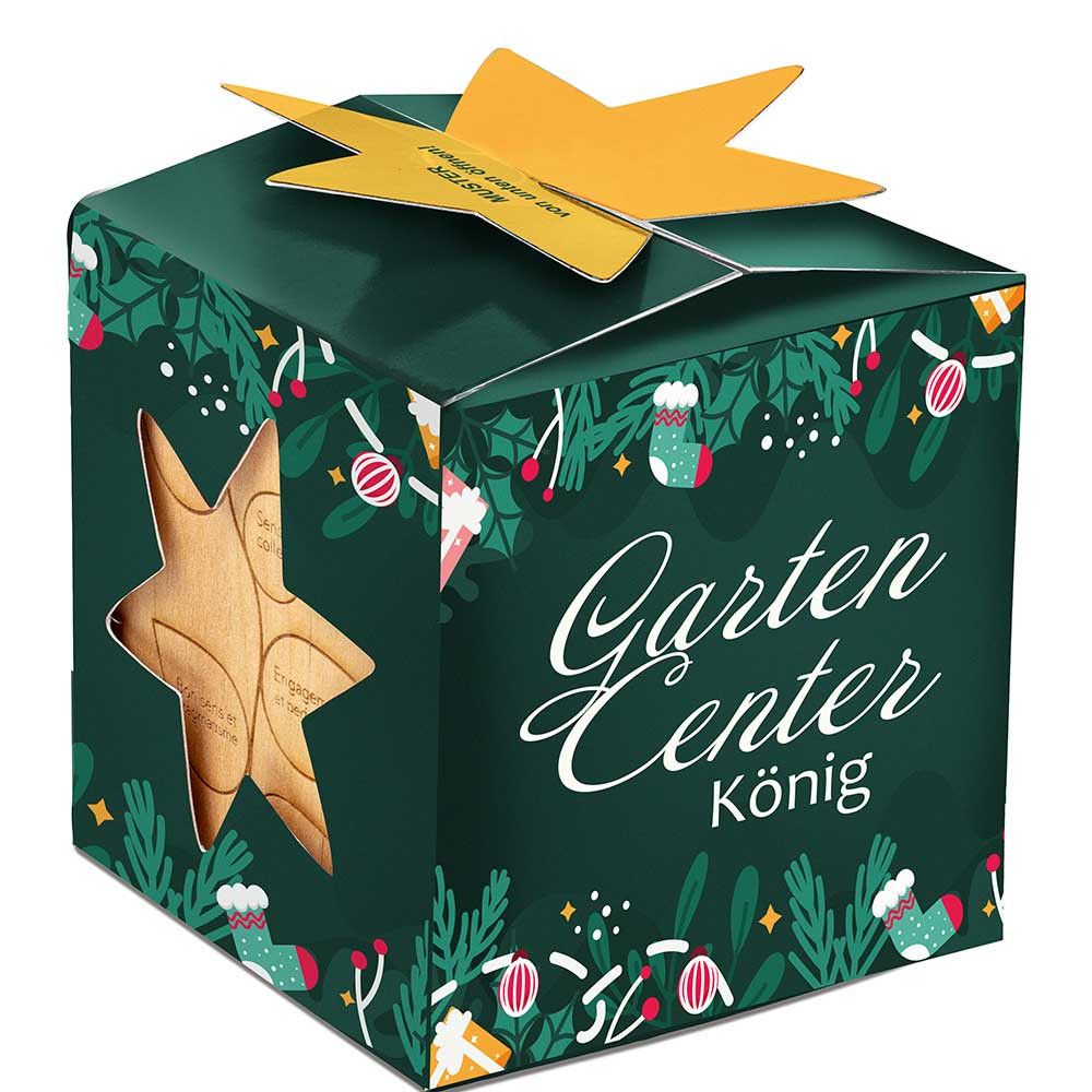 Pflanz-Holz Maxi Star-Box mit Samen - Schnittlauch, 1 Seite gelasert-24
