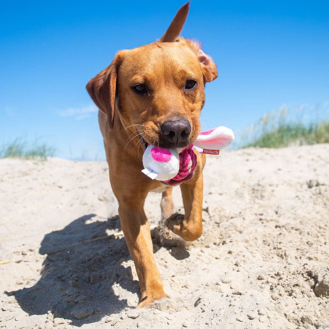 MiniFeet® Hundespielzeug Knotentier Hase - pink-954