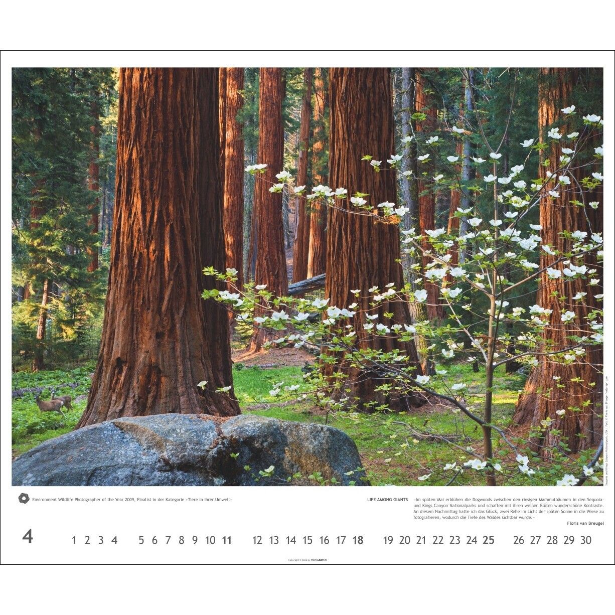 Meisterwerke der Natur - Landschaft & Natur Kalender-767