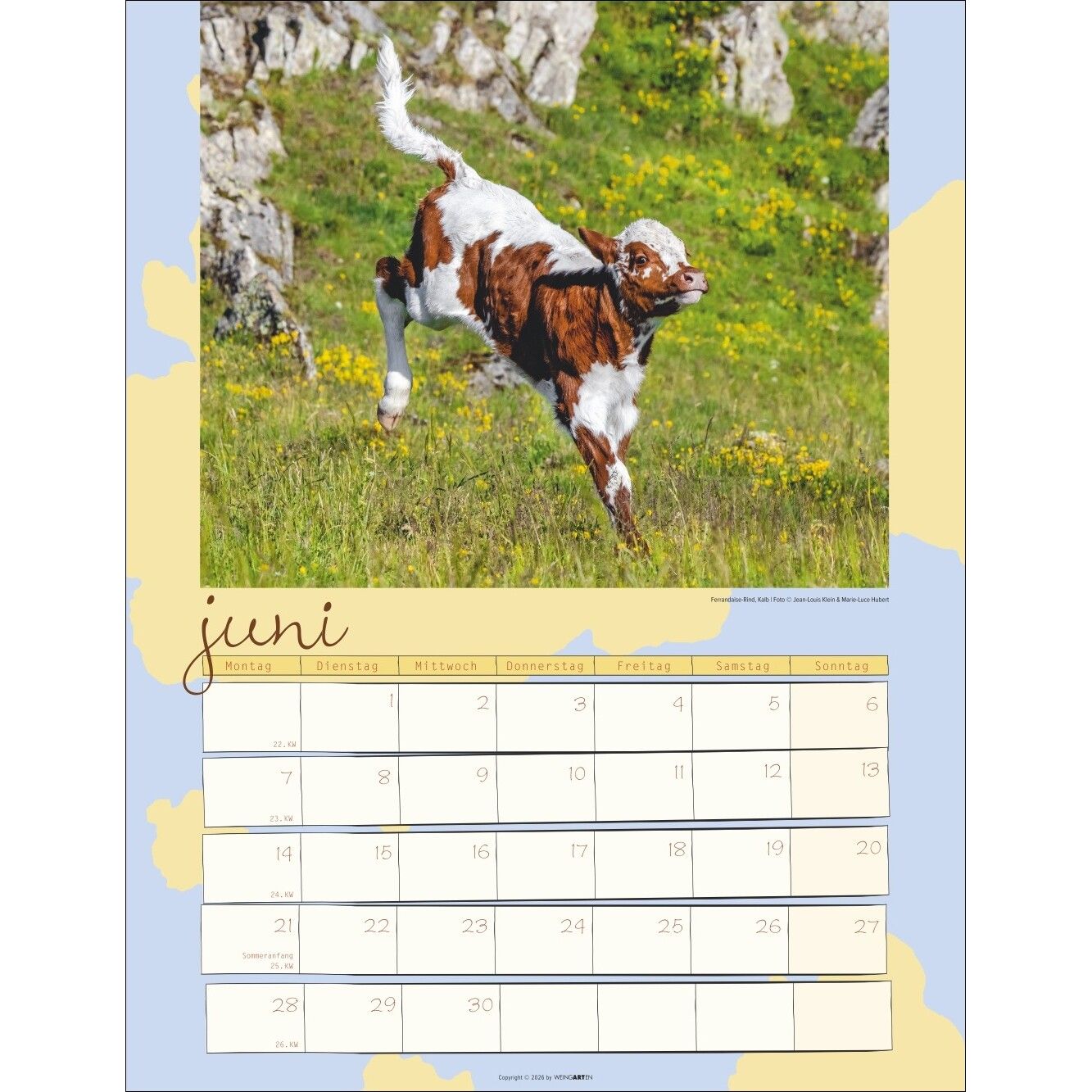 Kuh Kalender-141
