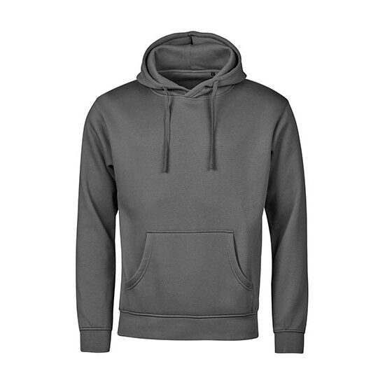 UNLABELED Hooded Sweatshirt - powder grey-474