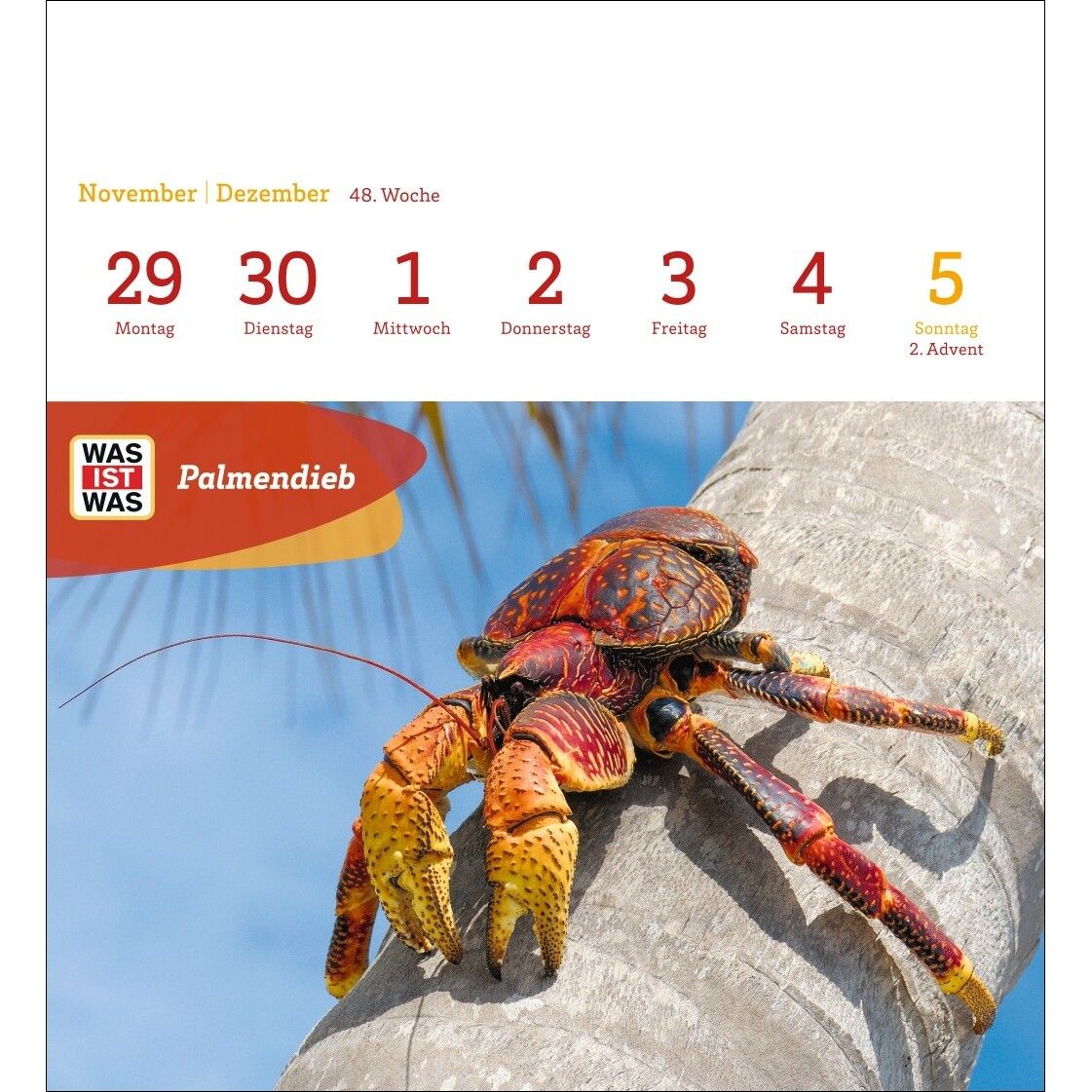 WAS IST WAS Geniale Tiere Postkartenkalender-747