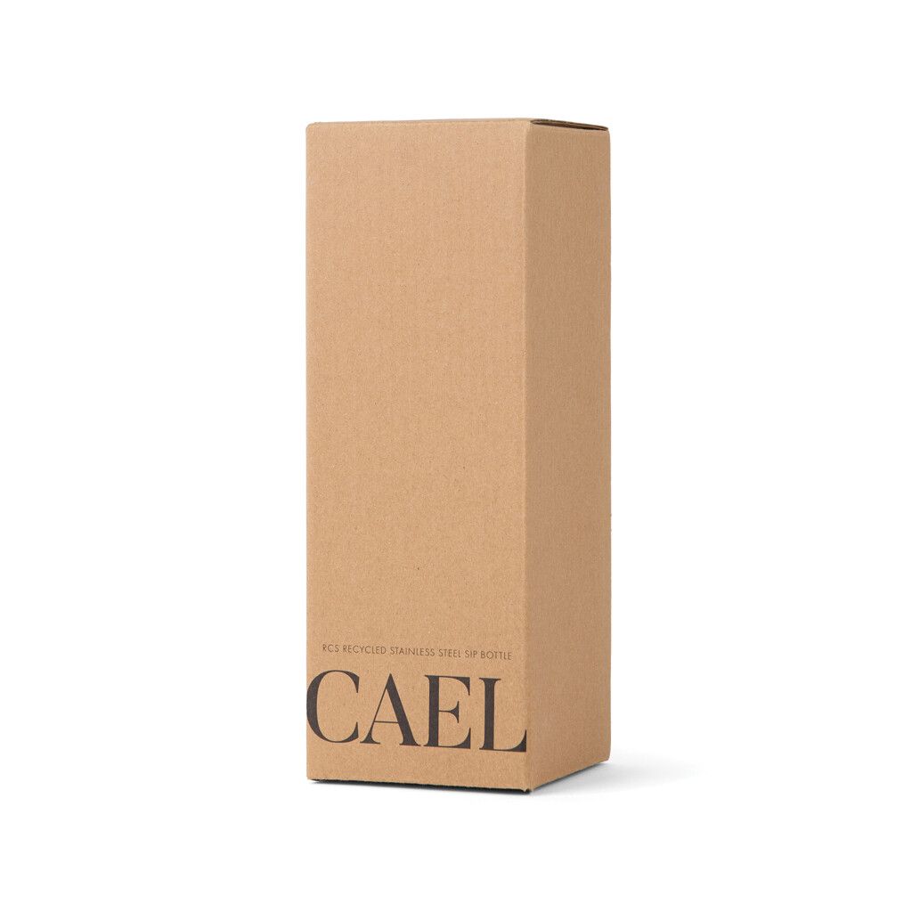 VINGA Cael RCS Stainless-Steel Trinkflasche 600ml - weiß-165