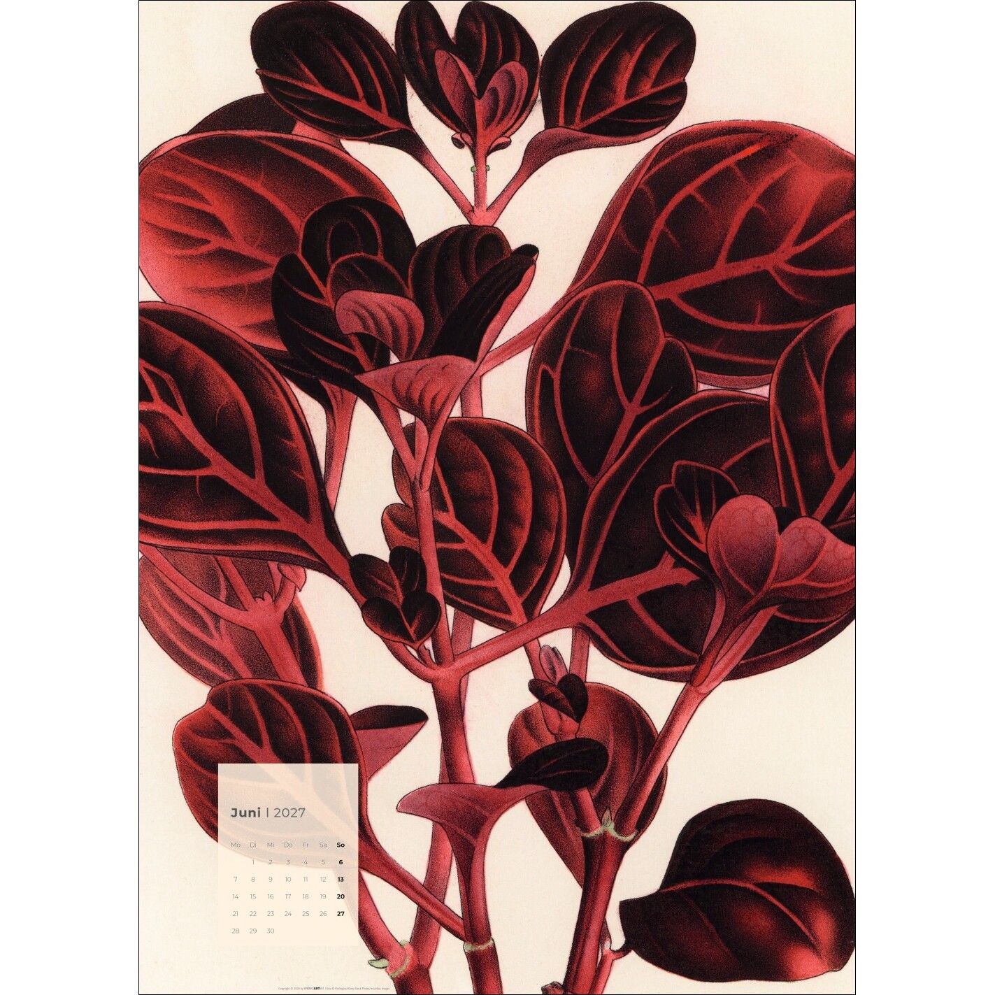 Botanicals - Kunst & Kultur Kalender-764