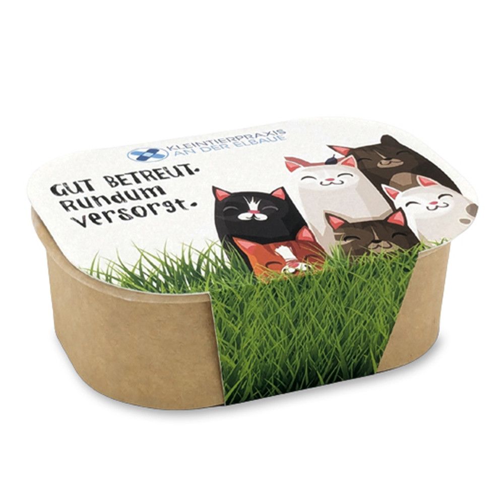 Katzengras Pflanzset - Katzengras-61
