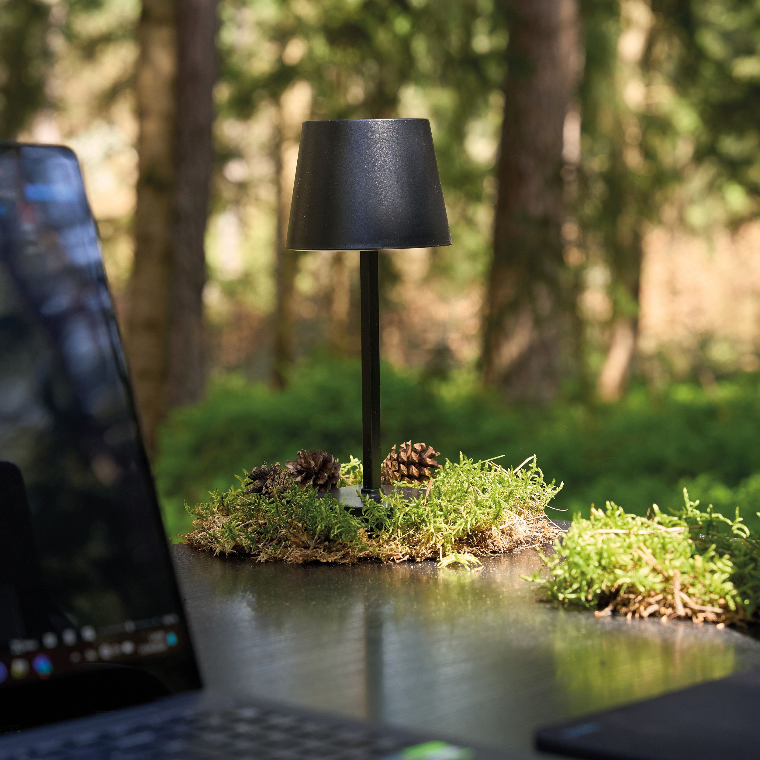 Tischlampe Montes Claros - schwarz-346