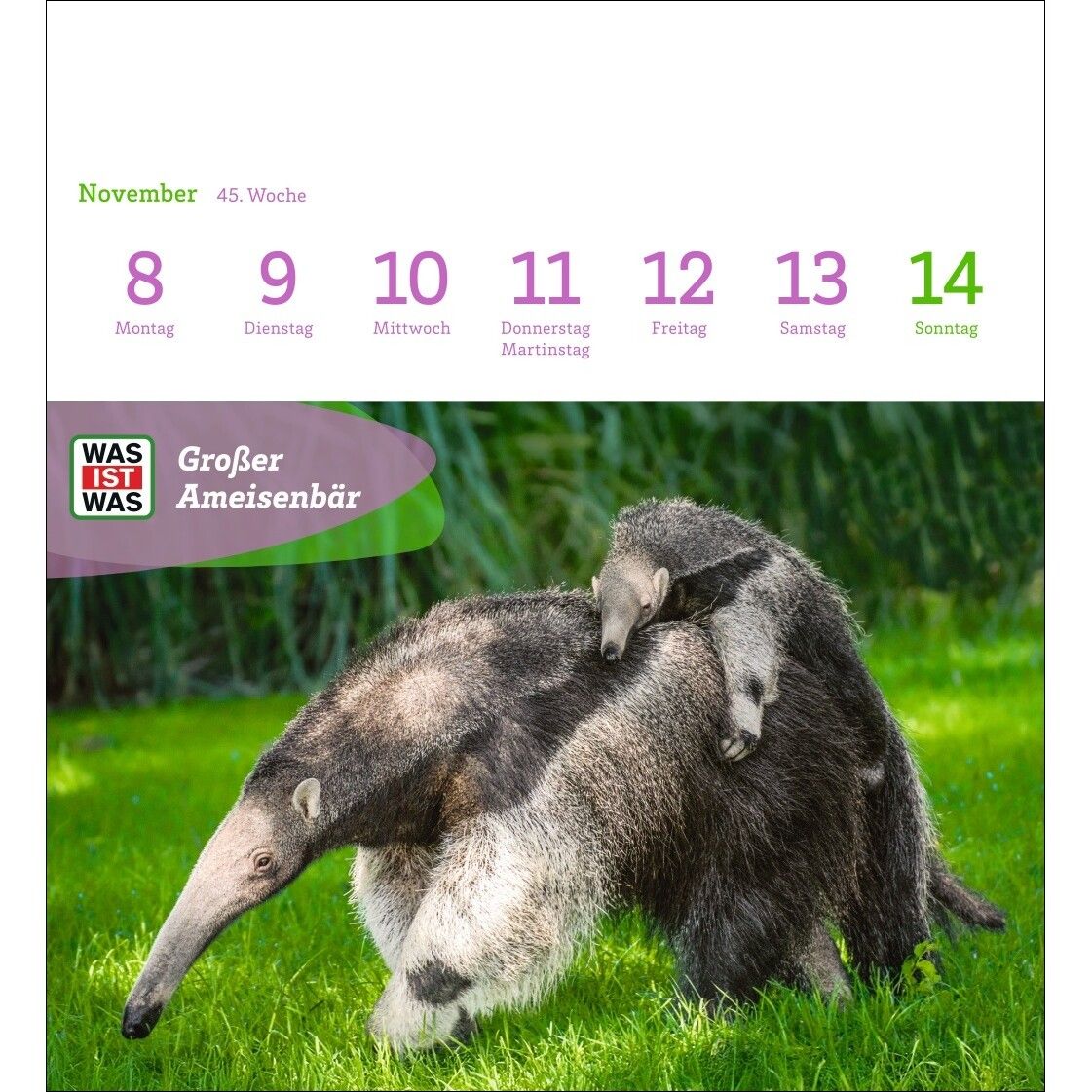 WAS IST WAS Geniale Tiere Postkartenkalender-419