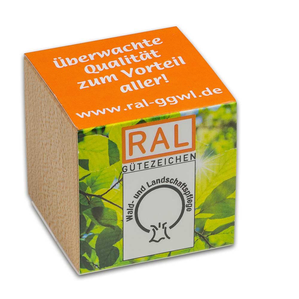 Pflanz-Holz mit Samen (Graspapier-Banderole) - Margerite, 2 Seiten gelasert-517