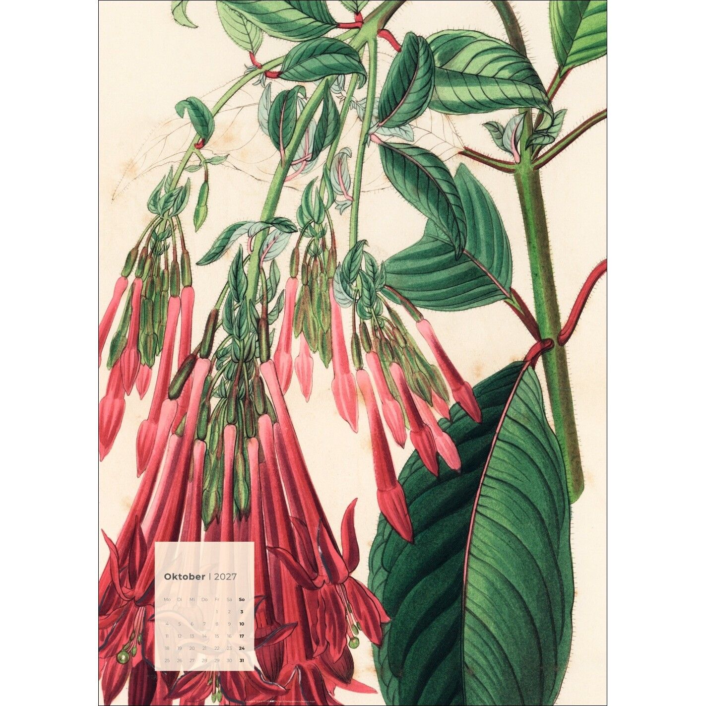 Botanicals - Kunst & Kultur Kalender-624