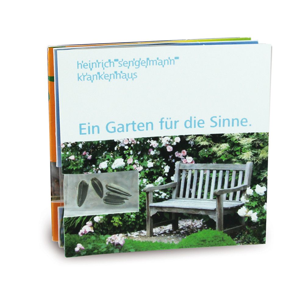 Samen-Karte - Margerite-146