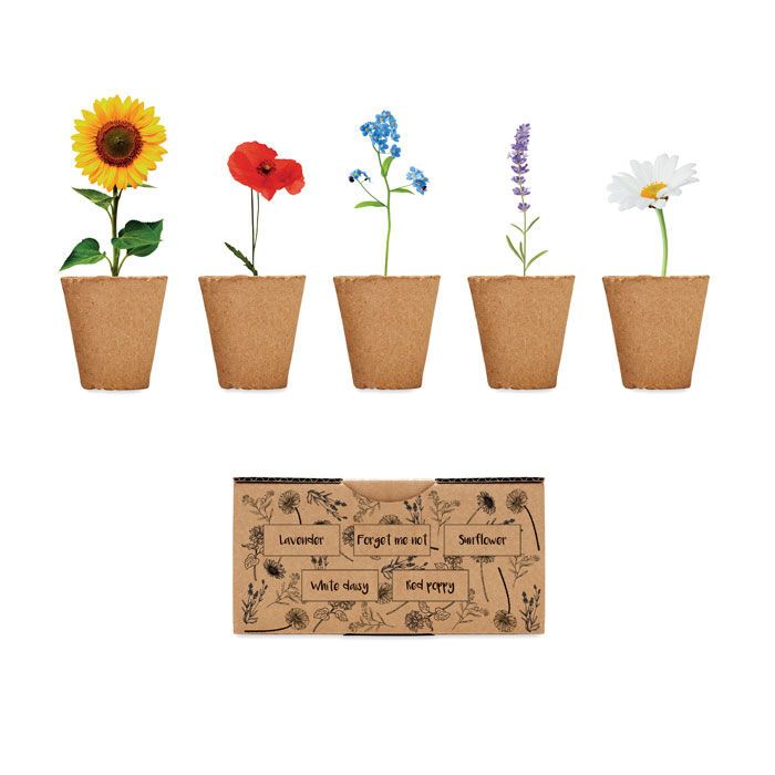 Saat-Set Sommerblumen FLOWERS - beige-72