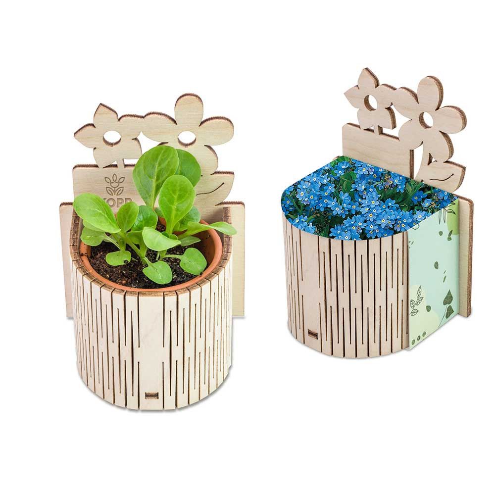 My Tiny Garden Blümchen - Vergissmeinnicht, inkl. Lasergravur-392