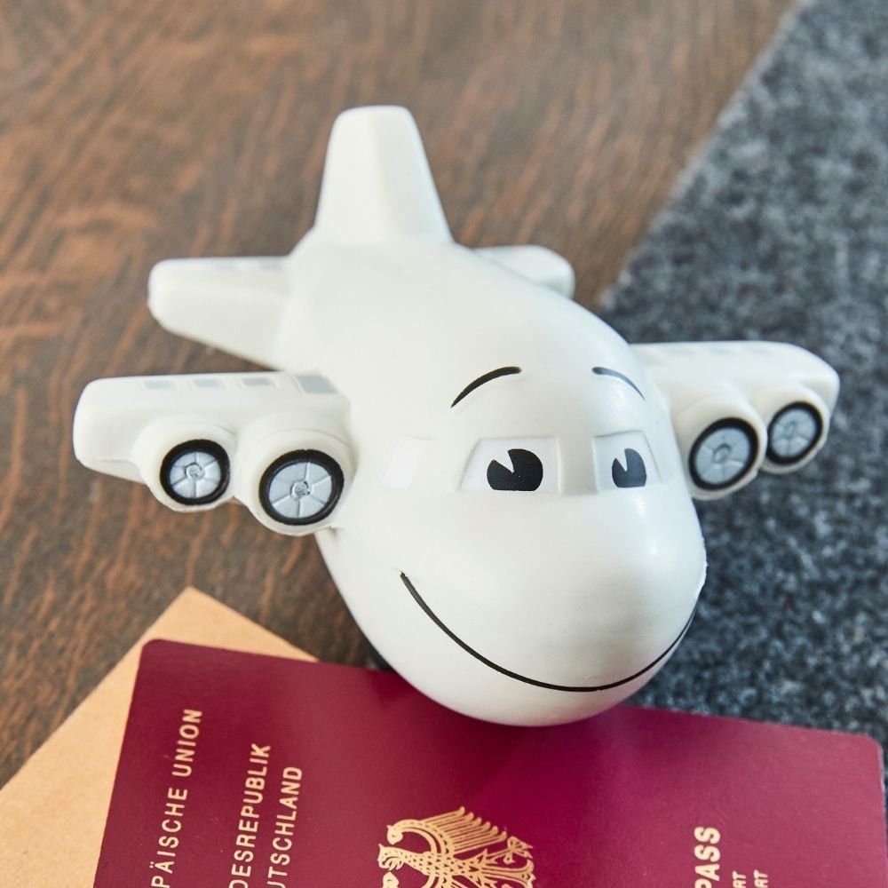 SQUEEZIES® Flugzeug - grau-889