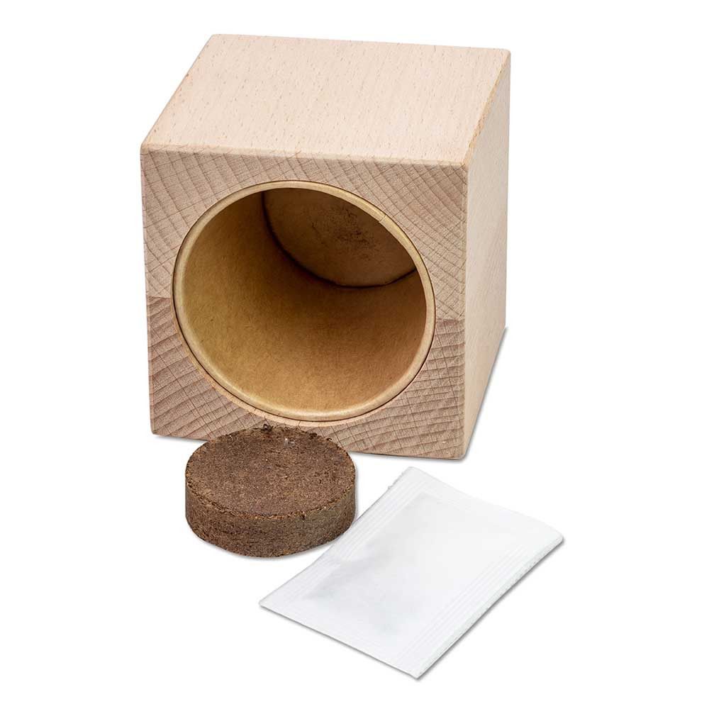 Pflanz-Holz Grande mit Samen - Gewürzpaprika-446