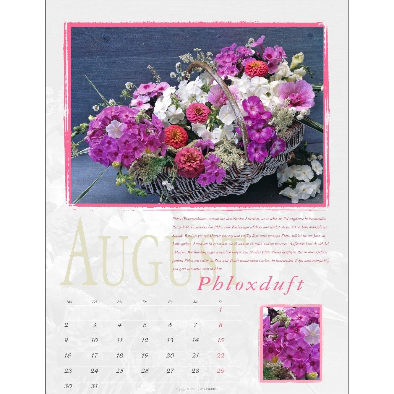 Duftkalender-572