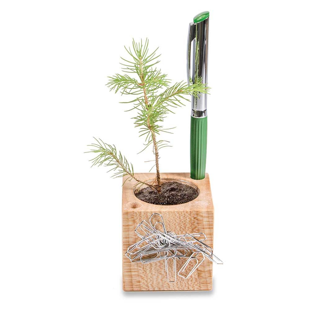 Pflanz-Holz Büro mit Samen - Sonnenblume-95