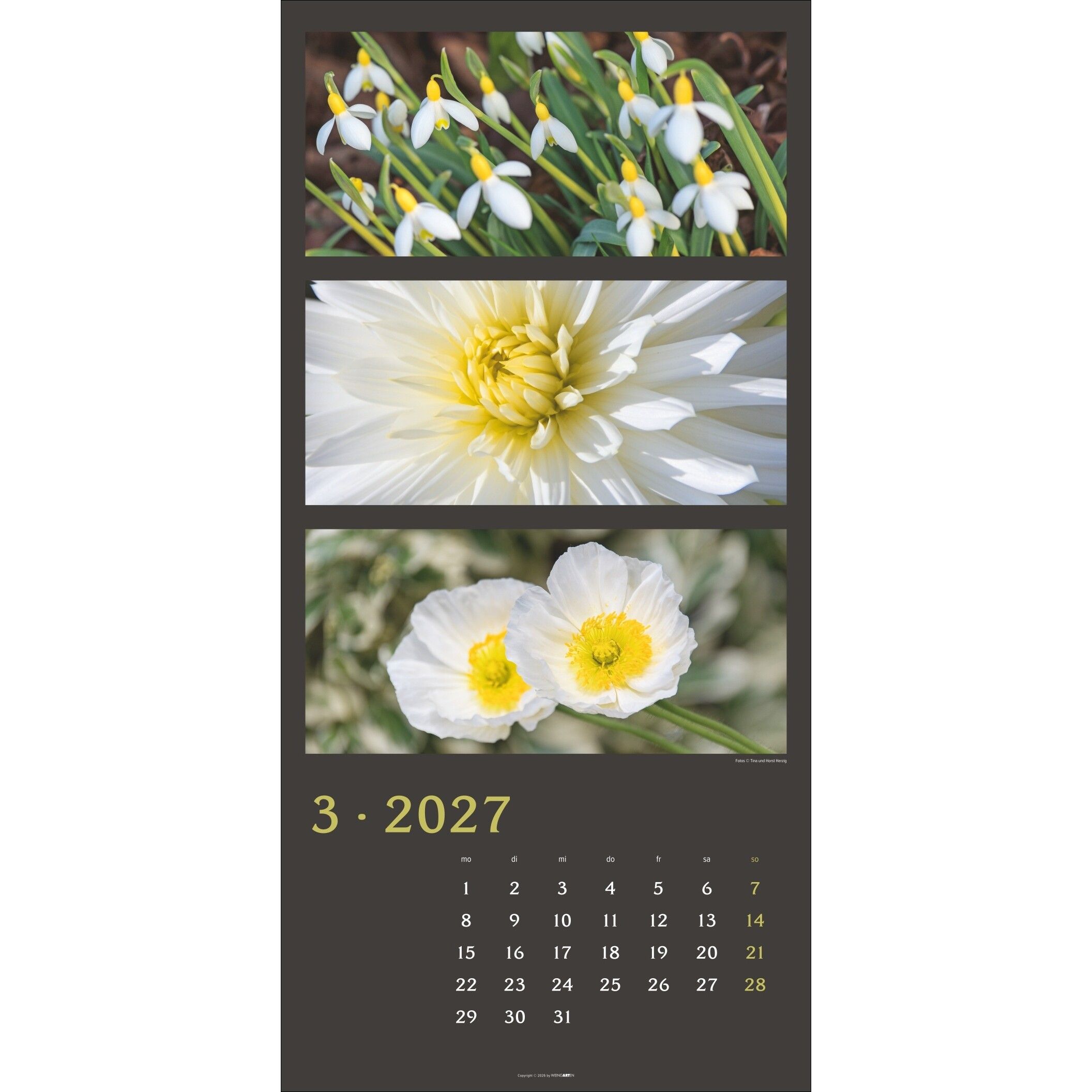 Die Farben der Natur - Landschaft & Natur Kalender-55
