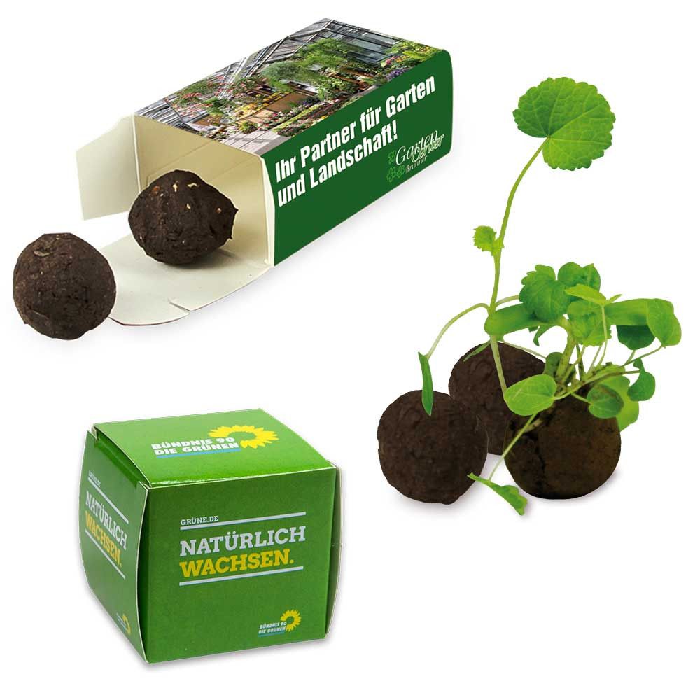 Flower-Balls in der Box mit Samen - 1er Box-975
