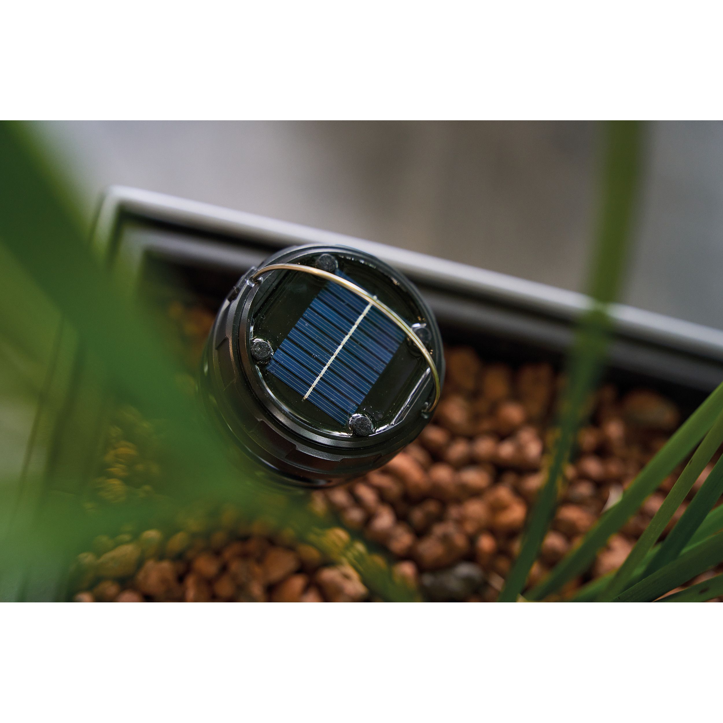 Solar-Insektenvernichtungslampe Wigan - schwarz-72