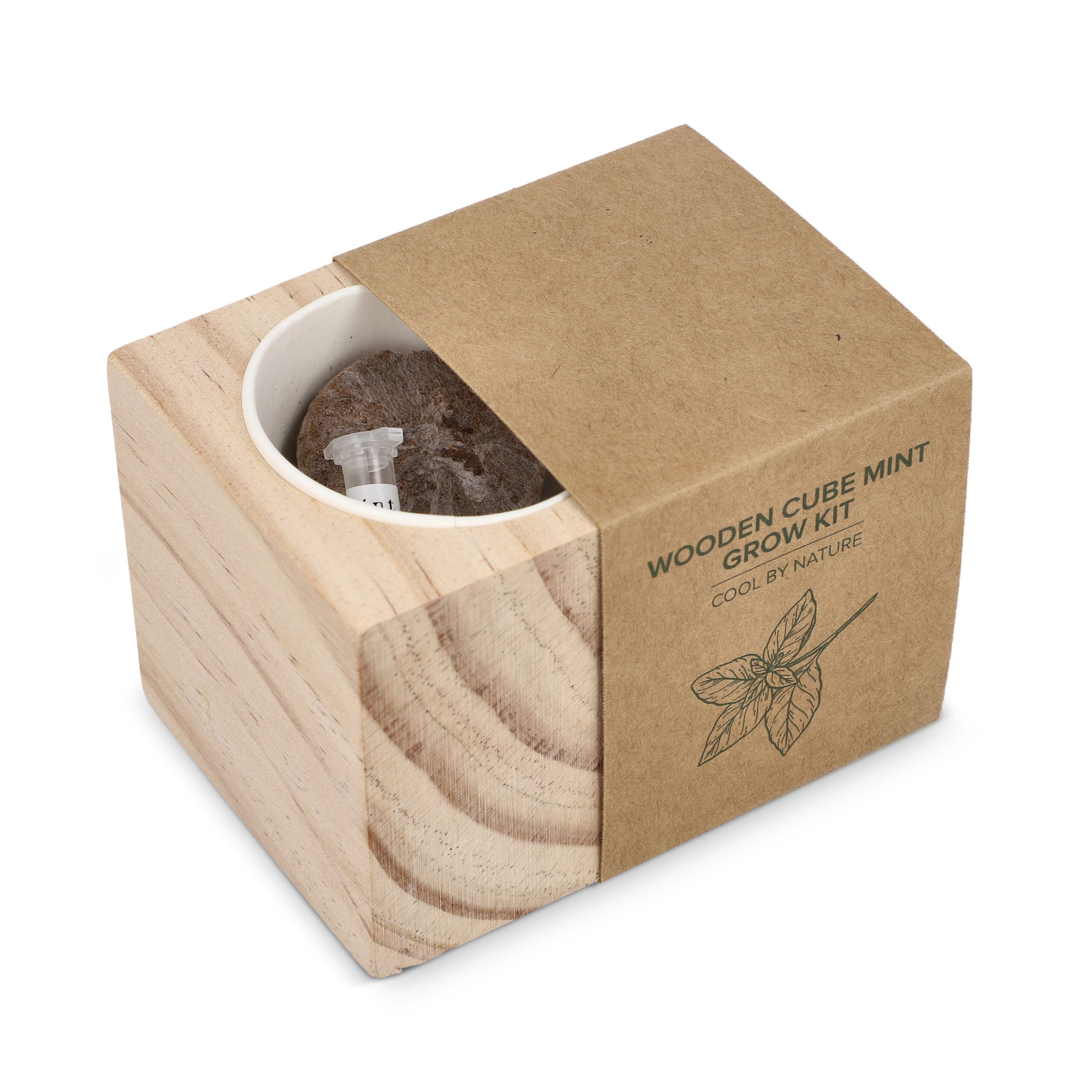 FSC-Holzpflanzgefäß-Set – Mint - natur-707