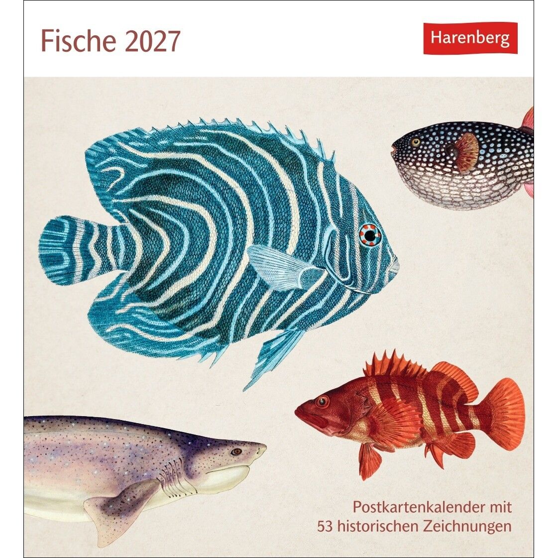 Fische Postkartenkalender-871
