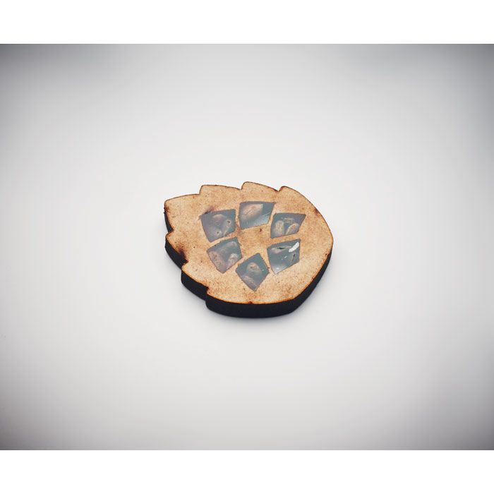 Kiefernsamen-Set GROWTREE™ - beige-860
