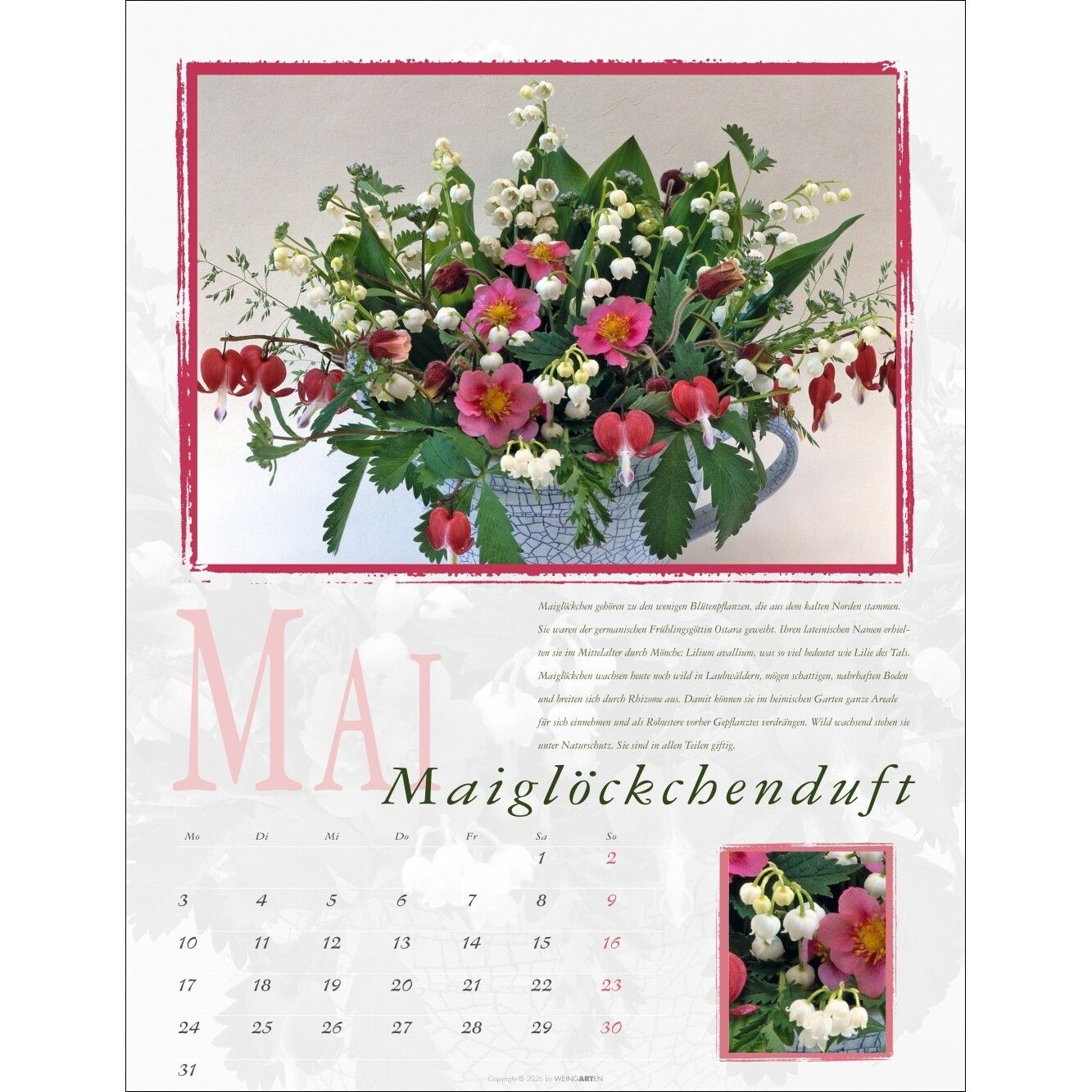 Duftkalender-818