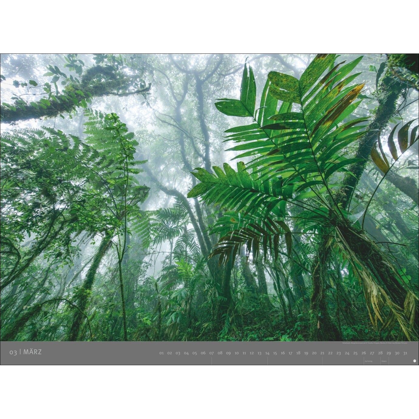 AvH Die letzten Paradiese - Landschaft & Natur Kalender-658