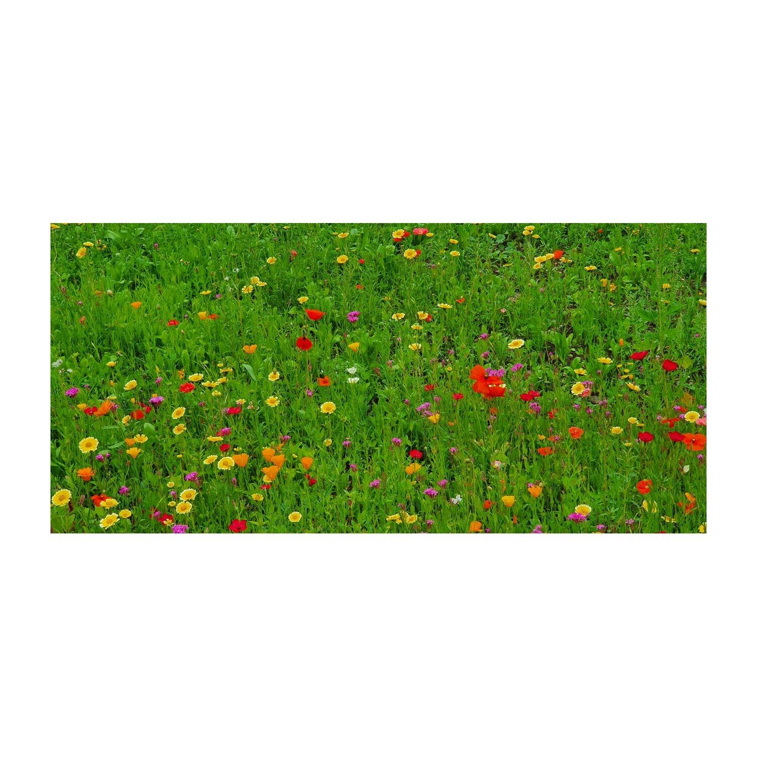 Blumenwiese Bee Happy, 3 Saatkugeln im Säckchen-741