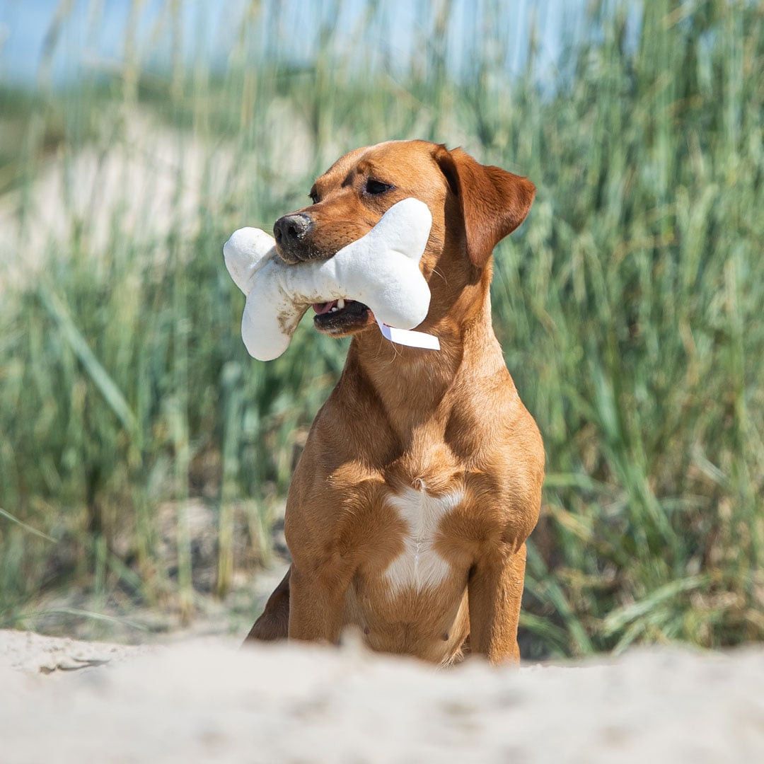 MiniFeet® Hundespielzeug Knochen - creme-833
