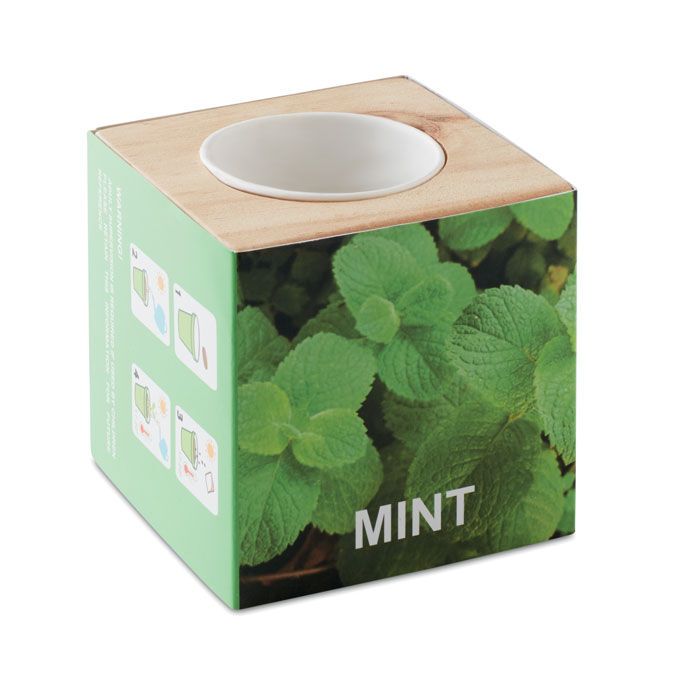 Kräuterpflanz-Set "Minze'' MENTA - holz-455